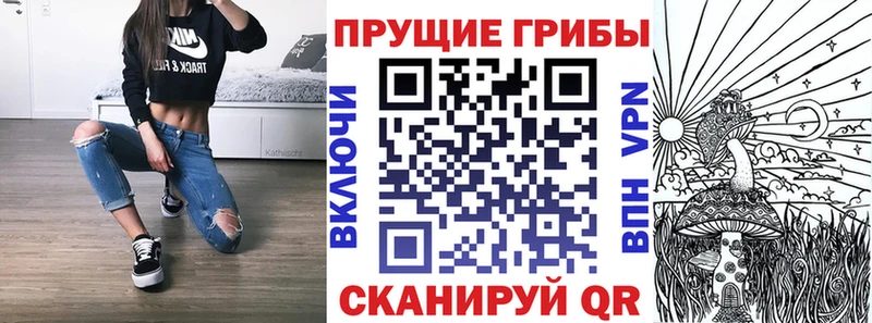 mega вход  Лахденпохья  Псилоцибиновые грибы мухоморы 